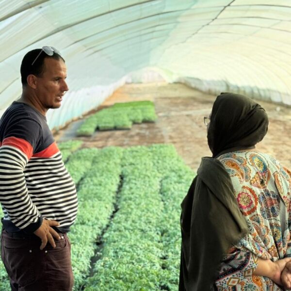 WhatsApp Image 2025-10-24 at 20.32.56_38498857