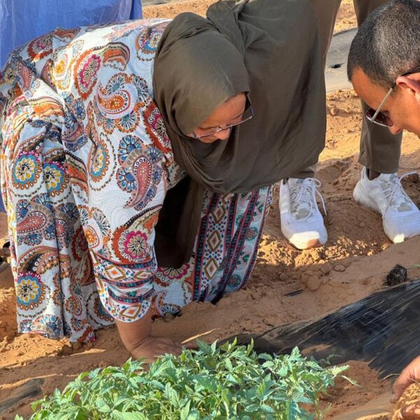 WhatsApp Image 2025-10-24 at 20.32.57_58a0ac31