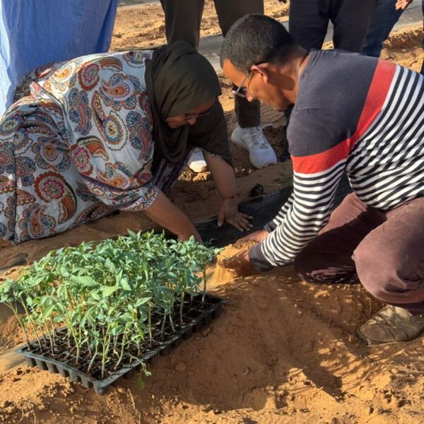 WhatsApp Image 2025-10-24 at 20.32.57_cdac92ec